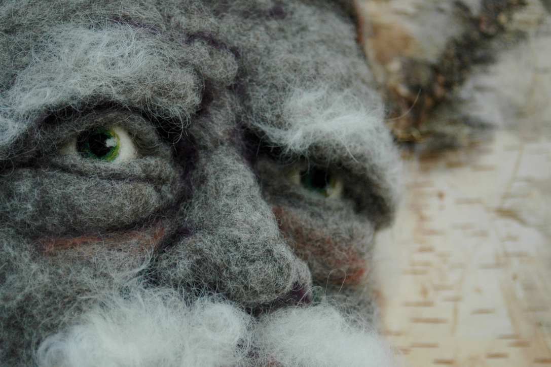 Sortons des bois - Hand needle-felted wool sculpture of a male face – balding with wispy white hair and goatie. Mounted on reclaimed birch bark. Artist/photo: Rosemarie Péloquin